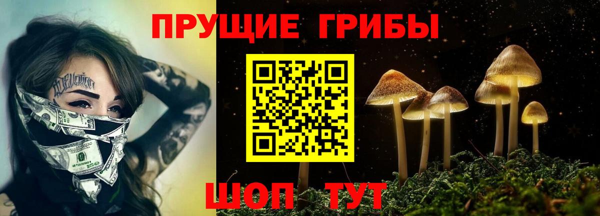 Галлюциногенные грибы MAGIC MUSHROOMS  Вход с VPN  Псилоцибиновые грибы ЛСД  Бахчисарай 
